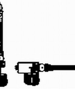 Stlapti ornamentali UPSS Botosani